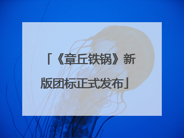 《章丘铁锅》新版团标正式发布
