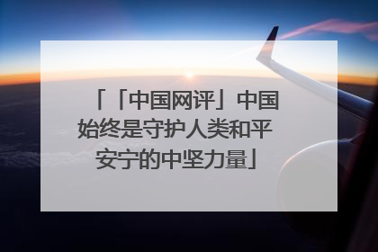 「中国网评」中国始终是守护人类和平安宁的中坚力量