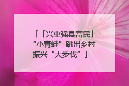 「兴业强县富民」“小青蛙”跳出乡村振兴“大步伐”