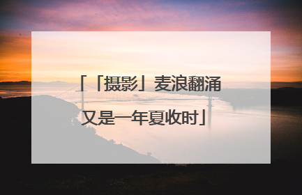 「摄影」麦浪翻涌 又是一年夏收时