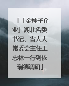 「金种子企业」湖北省委书记、省人大常委会主任王忠林一行到依瑞德调研