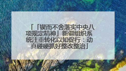 「锲而不舍落实中央八项规定精神」新疆组织系统注重转化以知促行：动真碰硬抓好整改整治