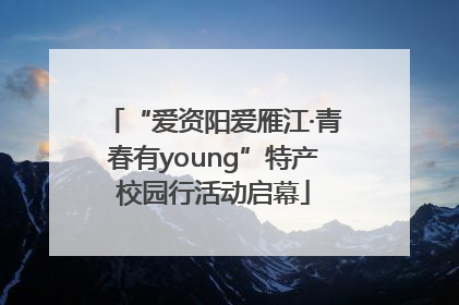“爱资阳爱雁江·青春有young”特产校园行活动启幕