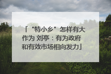 “特小乡”怎样有大作为 刘亭：有为政府和有效市场相向发力