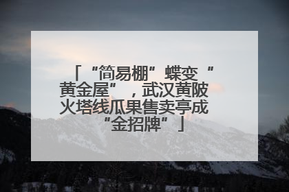 “简易棚”蝶变“黄金屋”，武汉黄陂火塔线瓜果售卖亭成“金招牌”