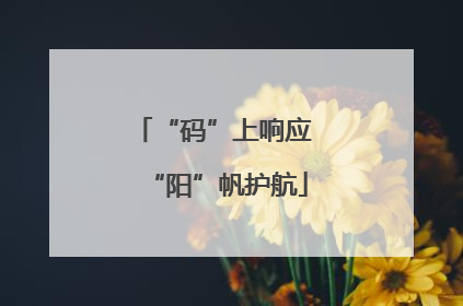 “码”上响应 “阳”帆护航