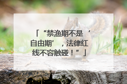 “禁渔期不是‘自由期’，法律红线不容触碰！”