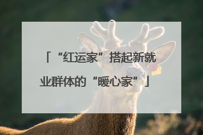 “红运家”搭起新就业群体的“暖心家”