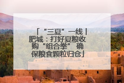 “三夏”一线丨肥城：打好夏粮收购“组合拳” 确保粮食颗粒归仓