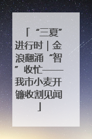 “三夏”进行时｜金浪翻涌“智”收忙——我市小麦开镰收割见闻