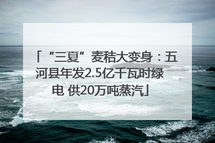 “三夏”麦秸大变身：五河县年发2.5亿千瓦时绿电 供20万吨蒸汽