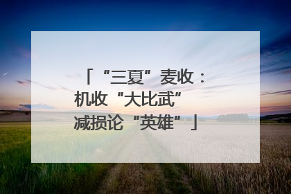 “三夏”麦收：机收“大比武” 减损论“英雄”