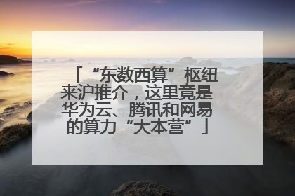 “东数西算”枢纽来沪推介，这里竟是华为云、腾讯和网易的算力“大本营”