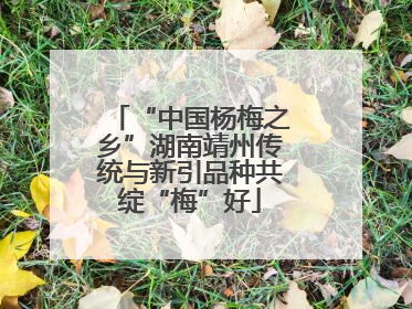 “中国杨梅之乡”湖南靖州传统与新引品种共绽“梅”好