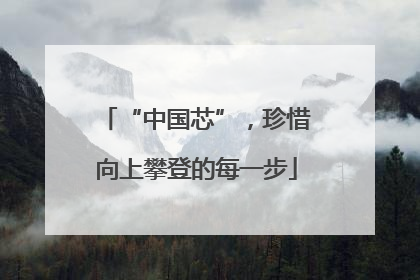 “中国芯”，珍惜向上攀登的每一步