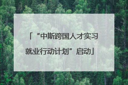 “中斯跨国人才实习就业行动计划”启动