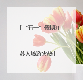 “五一”假期江苏入境游火热