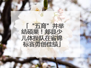 “五育”并举结硕果！郏县少儿体操队在省锦标赛勇创佳绩