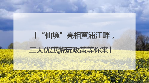 “仙境”亮相黄浦江畔，三大优惠游玩政策等你来