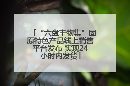 “六盘丰物集”固原特色产品线上销售平台发布 实现24小时内发货