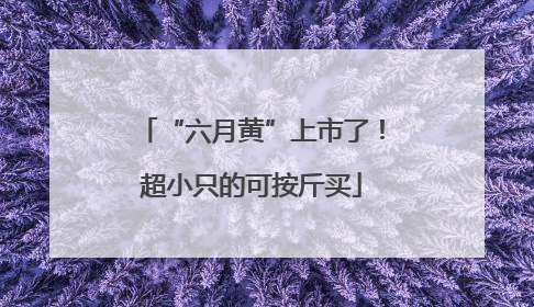 “六月黄”上市了！超小只的可按斤买
