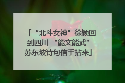“北斗女神”徐颖回到四川 “能文能武”苏东坡诗句信手拈来
