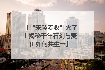 “宋陵麦收”火了！揭秘千年石刻与麦田如何共生→