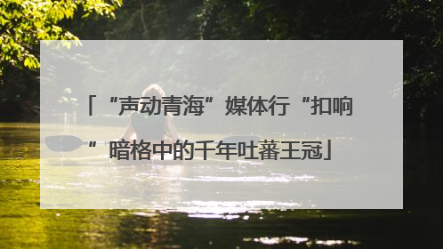 “声动青海”媒体行“扣响”暗格中的千年吐蕃王冠