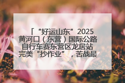 “好运山东”2025黄河口（东营）国际公路自行车赛东营区龙居站 完美“抄作业”，苦战最后时刻黄衫易主