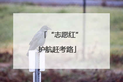 “志愿红”护航赶考路