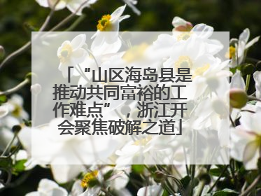 “山区海岛县是推动共同富裕的工作难点”，浙江开会聚焦破解之道