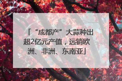 “成都产”大蒜种出超2亿元产值，远销欧洲、非洲、东南亚