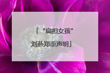 “扁担女孩”刘燕郑重声明