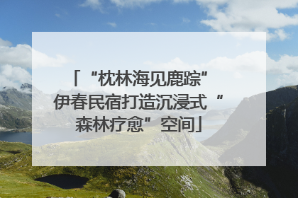 “枕林海见鹿踪” 伊春民宿打造沉浸式“森林疗愈”空间
