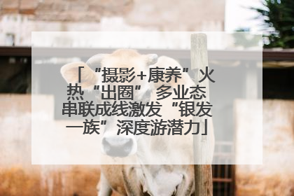 “摄影+康养”火热“出圈” 多业态串联成线激发“银发一族”深度游潜力