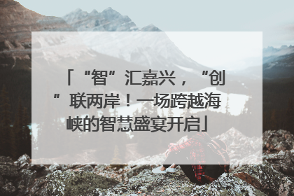 “智”汇嘉兴，“创”联两岸！一场跨越海峡的智慧盛宴开启