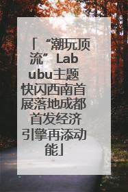 “潮玩顶流”Labubu主题快闪西南首展落地成都 首发经济引擎再添动能