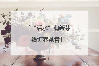 “活水”润新芽 钱塘春茶香