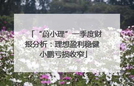 “蔚小理”一季度财报分析：理想盈利稳健 小鹏亏损收窄