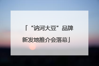 “讷河大豆”品牌新发地推介会落幕
