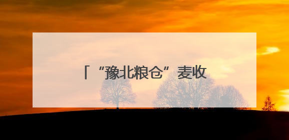 “豫北粮仓”麦收跑出“加速度”