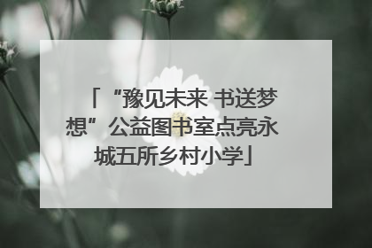 “豫见未来 书送梦想”公益图书室点亮永城五所乡村小学