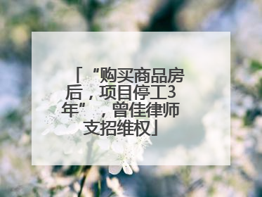 “购买商品房后，项目停工3年”，曾佳律师支招维权