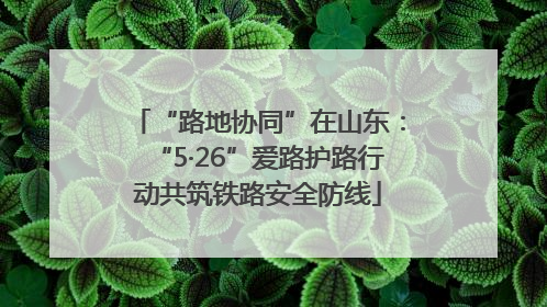 “路地协同”在山东：“5·26”爱路护路行动共筑铁路安全防线