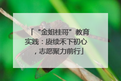 “金姐桂哥”教育实践：赓续禾下初心，志愿聚力前行