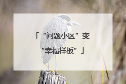 “问题小区”变“幸福样板”