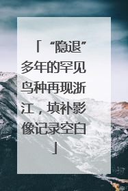 “隐退”多年的罕见鸟种再现浙江，填补影像记录空白