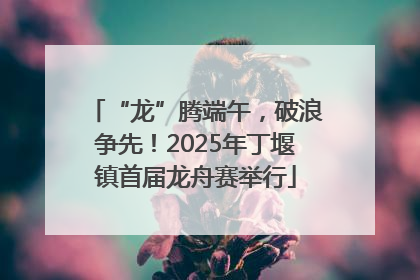 “龙”腾端午，破浪争先！2025年丁堰镇首届龙舟赛举行