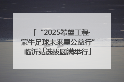 “2025希望工程·蒙牛足球未来星公益行”临沂站选拔圆满举行