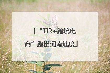 “TIR+跨境电商”跑出河南速度